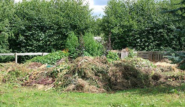 Compost Heap