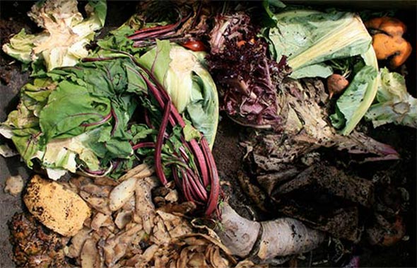 Compostable Vegetables