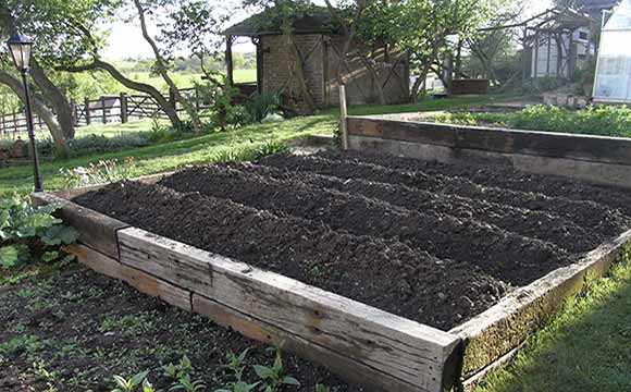 Raised Beds for Crop Rotation