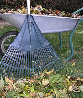 Leaves in wheel barrow