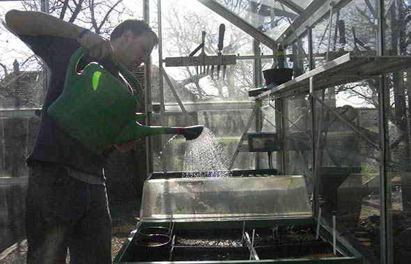 watering seeds in propagator